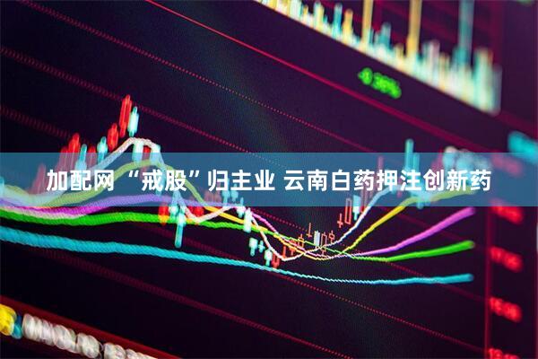 加配网 “戒股”归主业 云南白药押注创新药